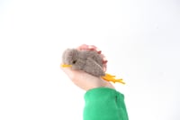 Image 3 of baby robin