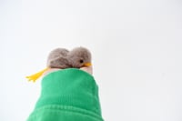 Image 4 of baby robin