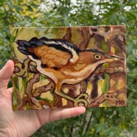 Image 1 of least bittern orginal painting