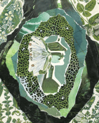 Botanical No. 5 Collage Print