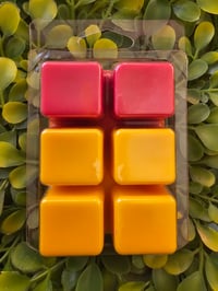 Image 3 of Rainbow Sherbert 