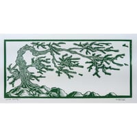 Image 2 of Wind Shapes (Green)