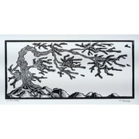 Image 2 of Wind Shapes (Black)