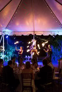 Image 3 of Professional Fire Dancers/Performers 