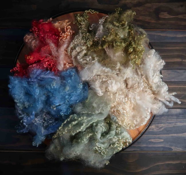 Ornate Spiny Lobster Play Pack - Border Leicester