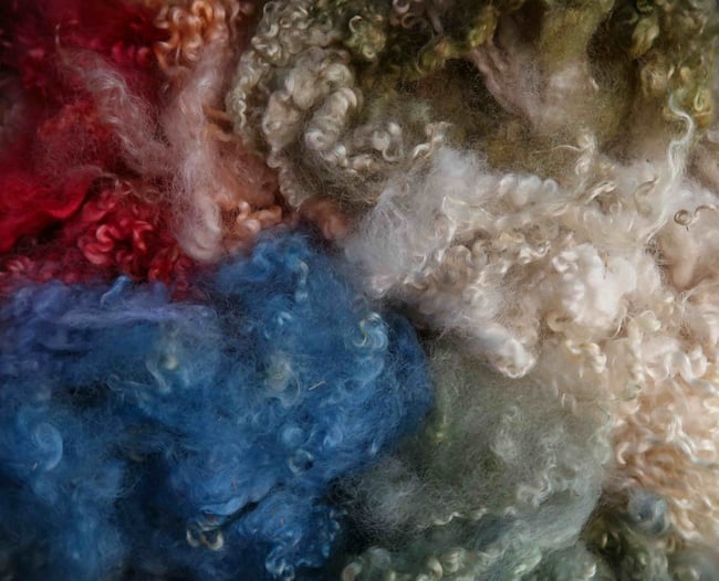 Ornate Spiny Lobster Play Pack - Border Leicester