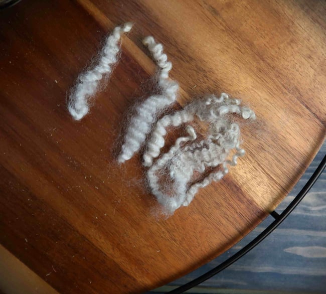 Border Leicester - Washed Fleece