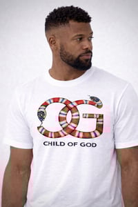 Image 2 of Matthew 10:16 TEE