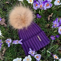 Image 1 of Limited Edition Original Grape Pomskii