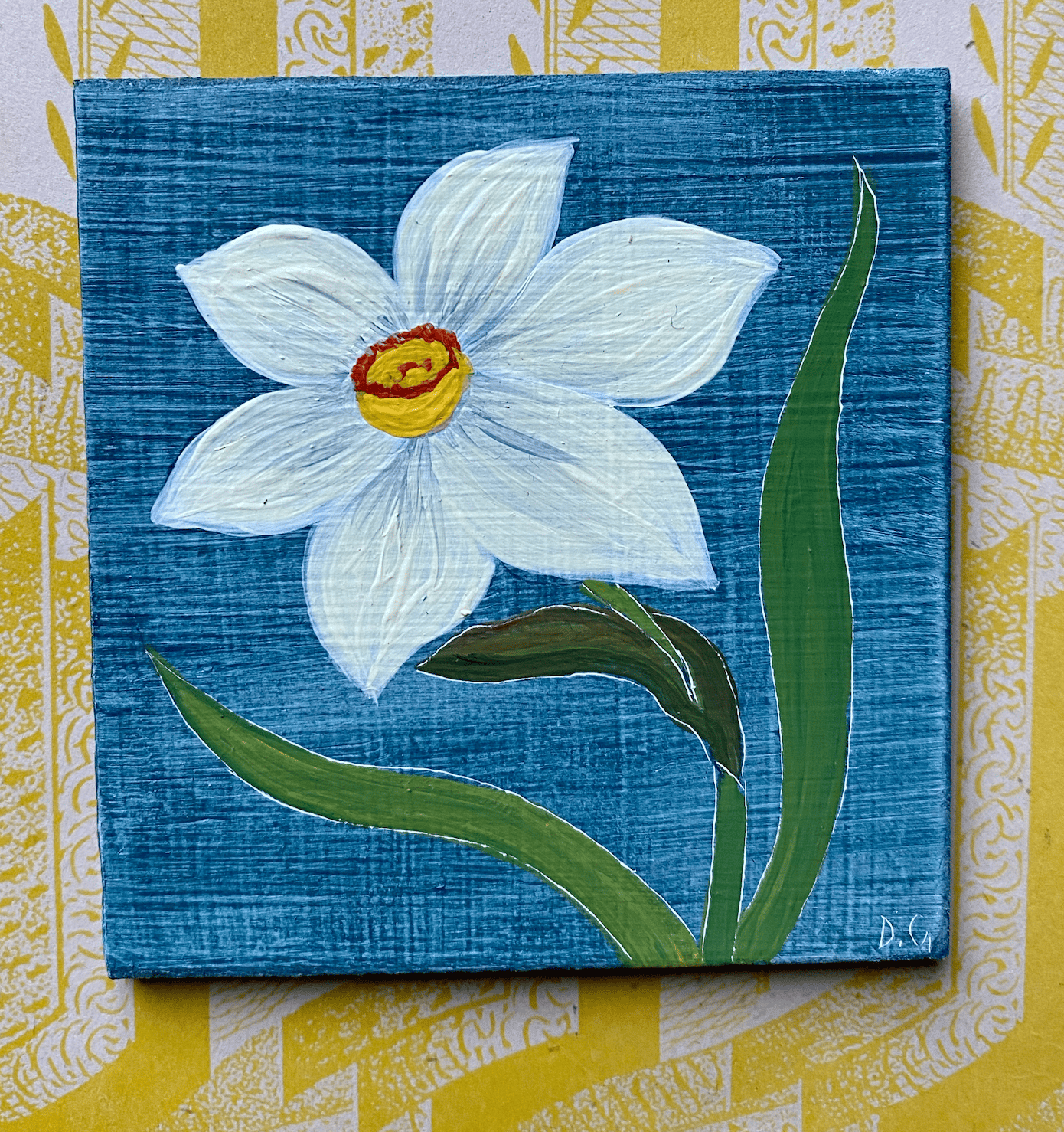 Image of Daffodil Study (C)