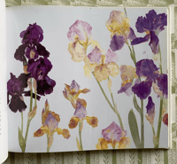 Image 2 of Favourite Flowers by Elizabeth Blackadder