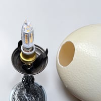 Image 11 of Lampe oeuf d'autruche sur pied en métal argenté  ancien  - Cabinet de curiosités