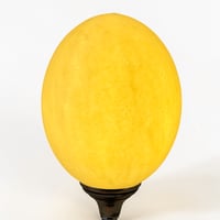 Image 7 of Lampe oeuf d'autruche sur pied en métal argenté  ancien  - Cabinet de curiosités