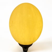 Image 8 of Lampe oeuf d'autruche sur pied en métal argenté  ancien  - Cabinet de curiosités