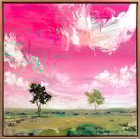 Image 1 of Gumtree Shadow