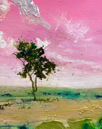 Image 2 of Gumtree Shadow