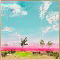 Image 1 of Wind-Split Gum Tree