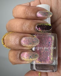 Image 22 of First Blossom