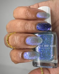 Image 14 of Held In Blue