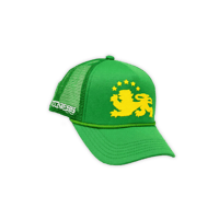 Image 1 of WITNESS TRUCKER