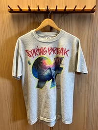 Image 1 of Spring break #609