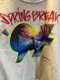 Image 3 of Spring break #609