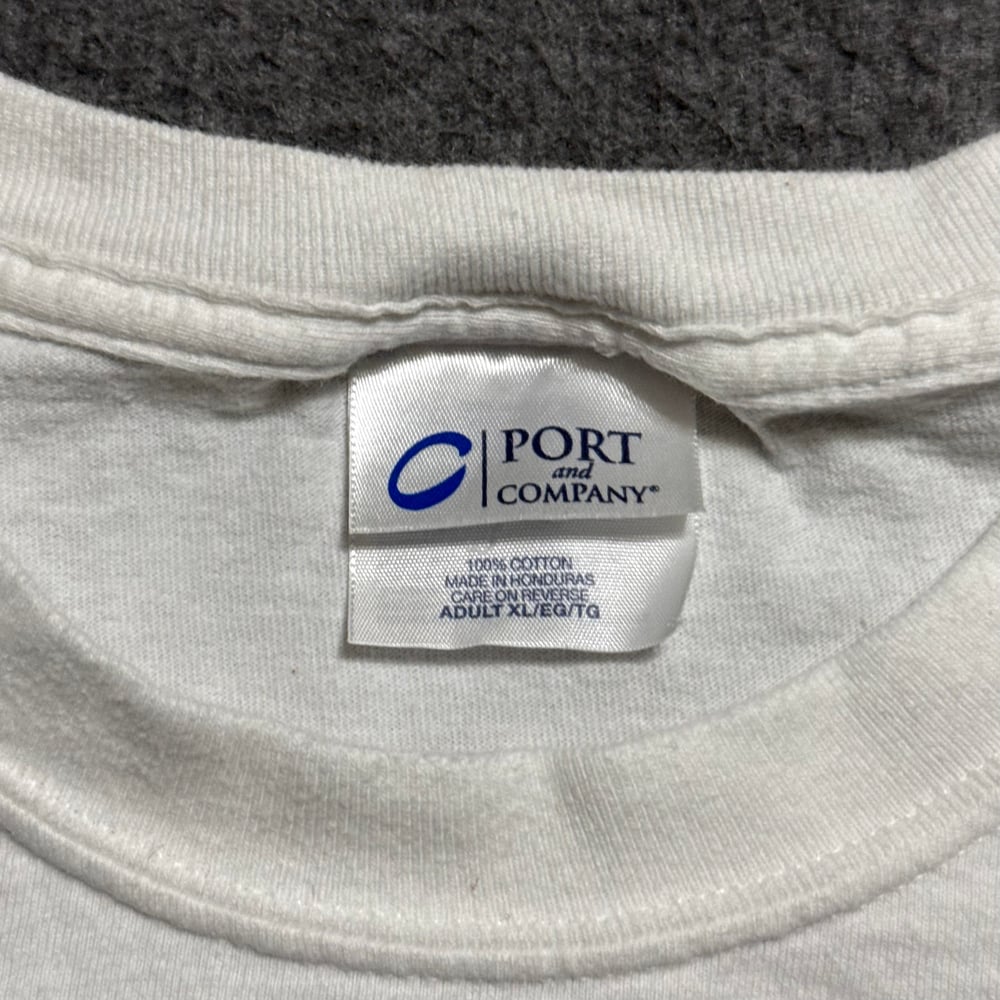 Image of 2000s Josh Peck Drake and Josh Fox Promo Graphic Tee