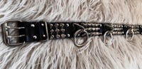 Image 3 of Spike Punk Belt