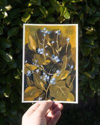 Image 1 of Forget-me-not print