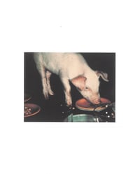 Image 4 of ANDY WARHOL - POLAROIDS 1971-1986