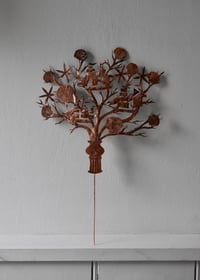 Image 2 of Coral with shells and galleons