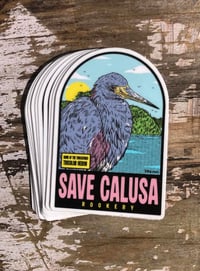Save Calusa 