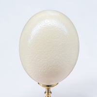 Image 5 of Lampe oeuf d'autruche sur pied en bronze ancien  - Cabinet de curiosités