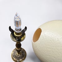 Image 12 of Lampe oeuf d'autruche sur pied en bronze ancien  - Cabinet de curiosités