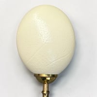 Image 7 of Lampe oeuf d'autruche sur pied en bronze ancien  - Cabinet de curiosités
