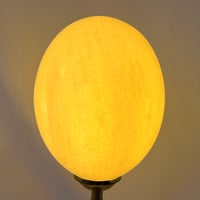 Image 8 of Lampe oeuf d'autruche sur pied en bronze ancien  - Cabinet de curiosités