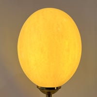 Image 9 of Lampe oeuf d'autruche sur pied en bronze ancien  - Cabinet de curiosités