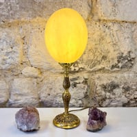 Image 4 of Lampe oeuf d'autruche sur pied en bronze ancien  - Cabinet de curiosités