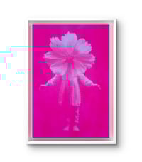 Image 4 of Fleur Humaine Rose fluo