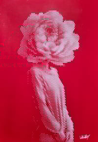 Image 1 of Fleur Rouge