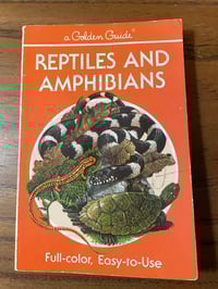 Image 1 of Vintage Reptiles and Amphibians Golden Nature Guide