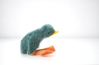 Image 3 of baby duck