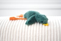 Image 2 of baby duck