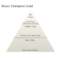 Image 2 of Boxer Champion Gold