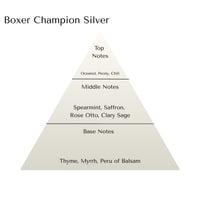 Image 2 of Boxer Champion Silver