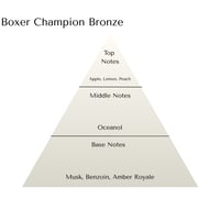 Image 2 of SOLD OUT! Boxer Champion Bronze