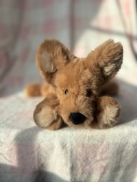 Image 2 of Mini Beanie Puppy