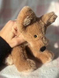 Image 3 of Mini Beanie Puppy