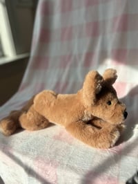 Image 4 of Mini Beanie Puppy