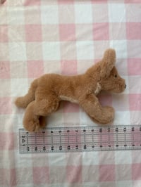 Image 5 of Mini Beanie Puppy